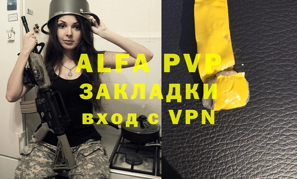 гидра Надым