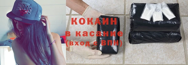 гидра Надым
