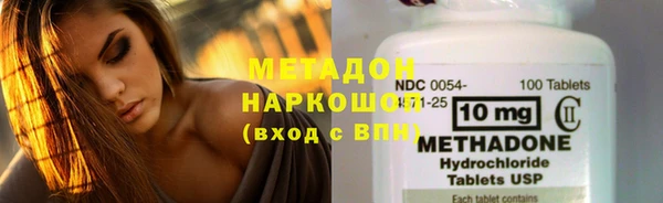 гидра Надым