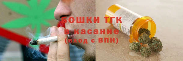 гидра Надым