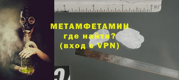 гидра Надым