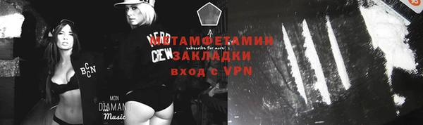 гидра Надым