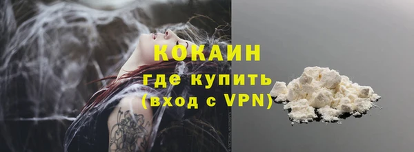 гидра Надым