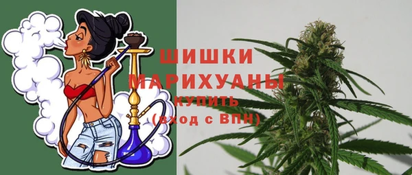 гидра Надым