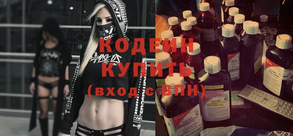 гидра Надым