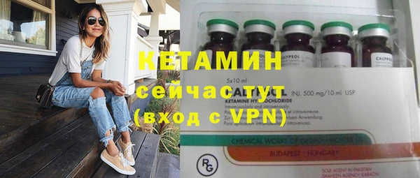 гидра Надым