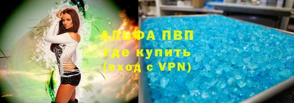 гидра Надым
