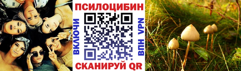 Галлюциногенные грибы Cubensis  Донской 