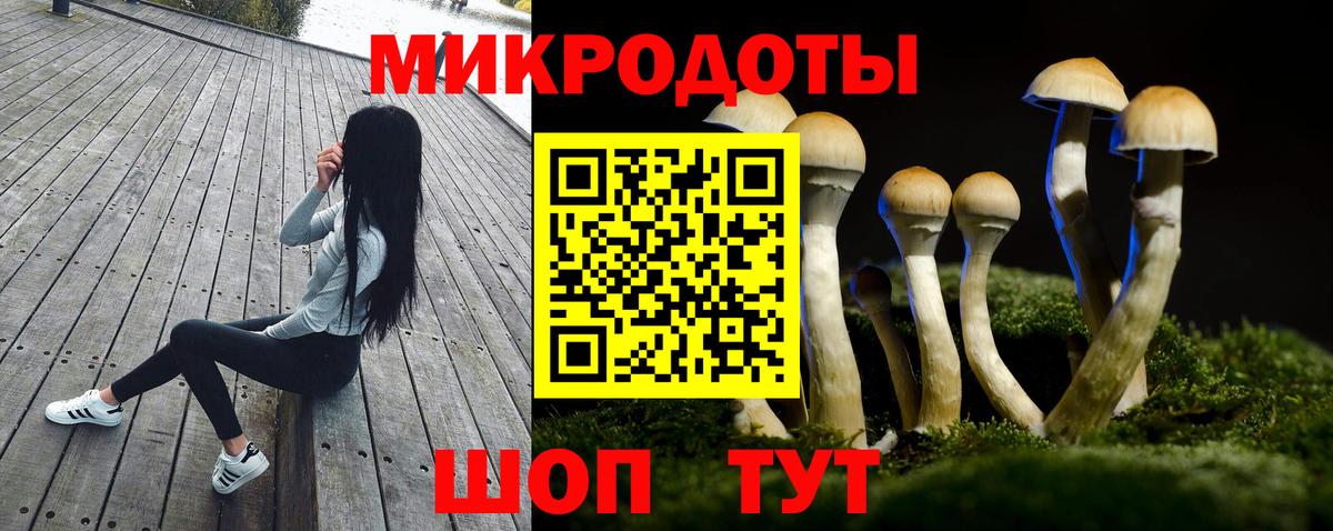 Псилоцибиновые грибы мицелий  Донской 