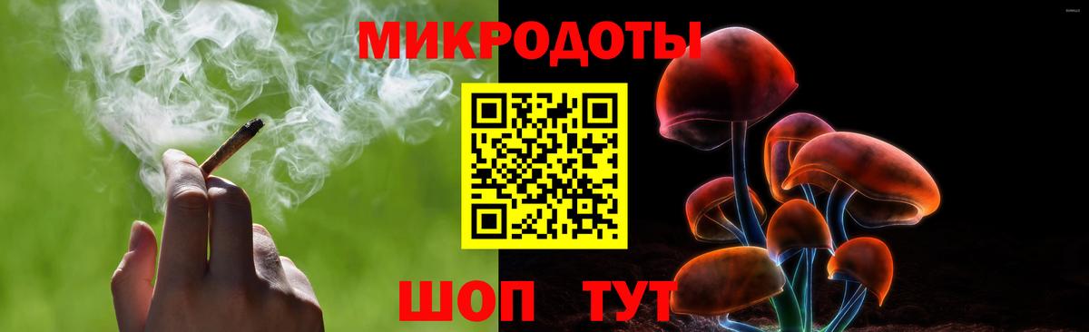 Псилоцибиновые грибы Psilocybine cubensis Донской