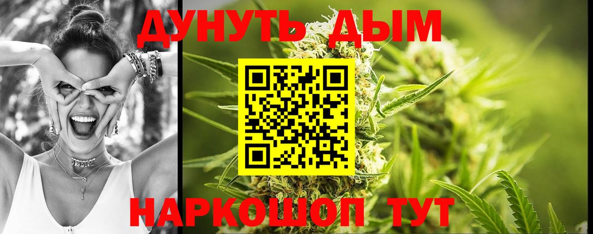 Конопля сатива  Вход с VPN  Бошки Шишки гибрид  Донской  Конопля планчик 